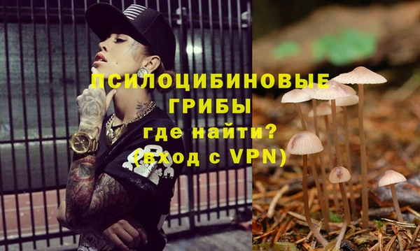 PSILOCYBIN Арсеньев