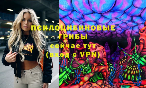 PSILOCYBIN Арсеньев