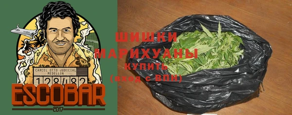 PSILOCYBIN Арсеньев