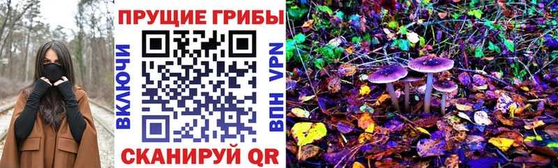 Галлюциногенные грибы Psilocybine cubensis  Мезень 